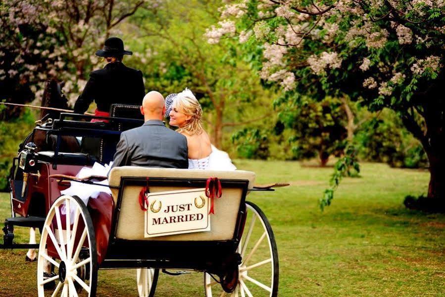 Chartwell Castle & Guest House Dış mekan fotoğraf