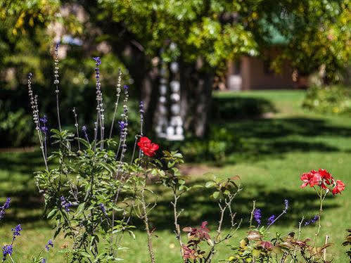 Chartwell Castle & Guest House Dış mekan fotoğraf